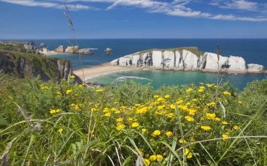 spectacular beach Playa de los Covachos, Cantabria