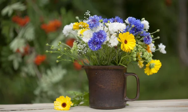 Northern summery bouquet — Stock Photo, Image