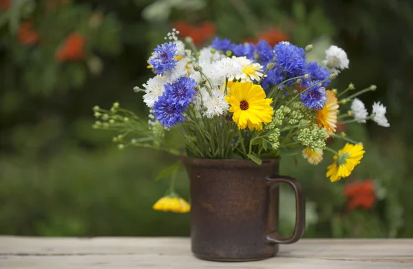 Northern summery bouquet — Stock Photo, Image