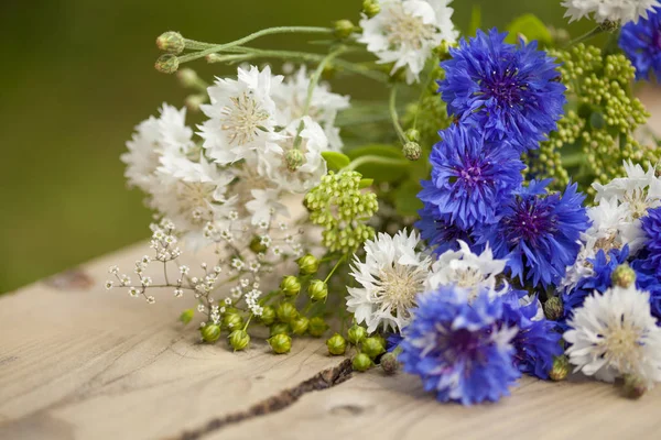 Northern summery bouquet — Stock Photo, Image