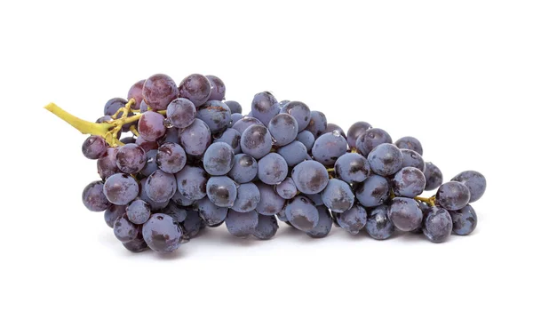 Ciemne winogrona na białym tle — Zdjęcie stockowe