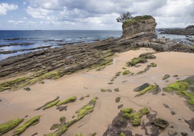 Cantabria, Santander, kaya oluşumu sahilde