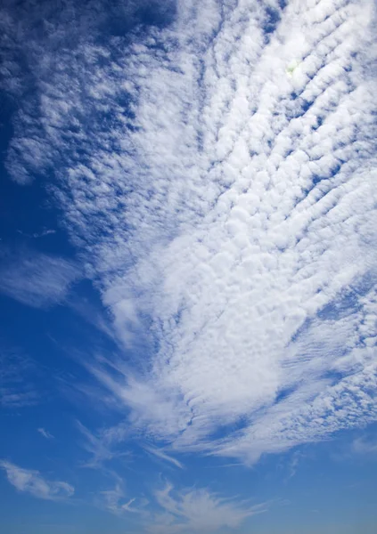 Макрель небо фон — стоковое фото