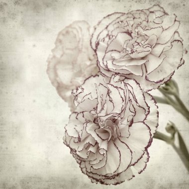 desenli eski kağıt arkaplan  