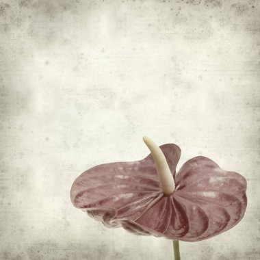 desenli eski kağıt arkaplan  