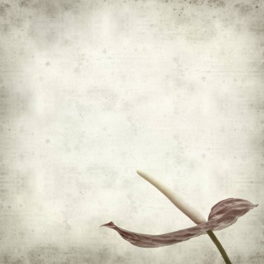 desenli eski kağıt arkaplan  