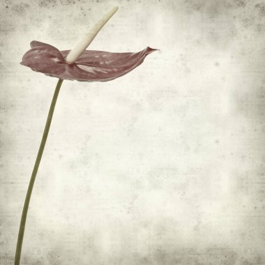 desenli eski kağıt arkaplan  