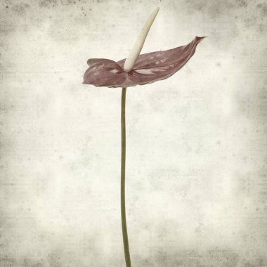 desenli eski kağıt arkaplan  