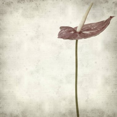 desenli eski kağıt arkaplan  