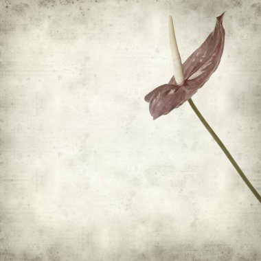 desenli eski kağıt arkaplan  