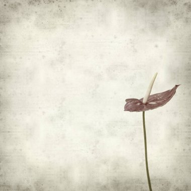 desenli eski kağıt arkaplan  