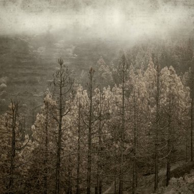 desenli eski kağıt arkaplan  