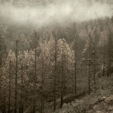 desenli eski kağıt arkaplan  