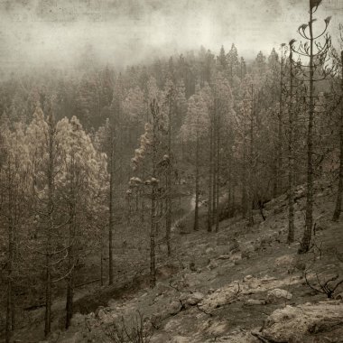 desenli eski kağıt arkaplan  