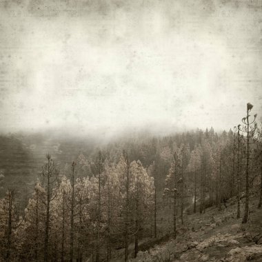 desenli eski kağıt arkaplan  