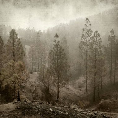 desenli eski kağıt arkaplan  