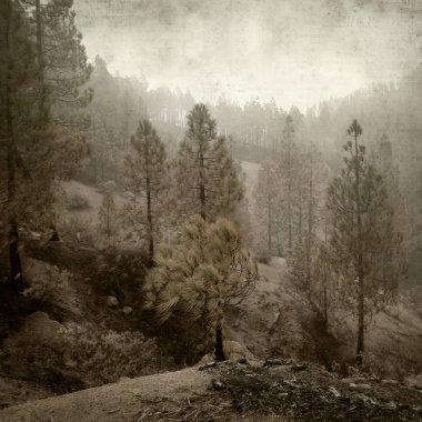 desenli eski kağıt arkaplan  