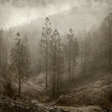 desenli eski kağıt arkaplan  