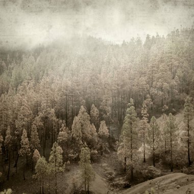 desenli eski kağıt arkaplan  