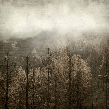 desenli eski kağıt arkaplan  