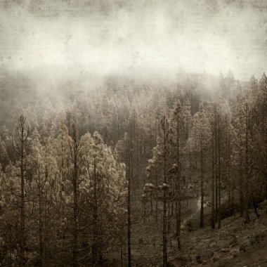 desenli eski kağıt arkaplan  