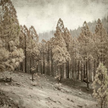 desenli eski kağıt arkaplan  