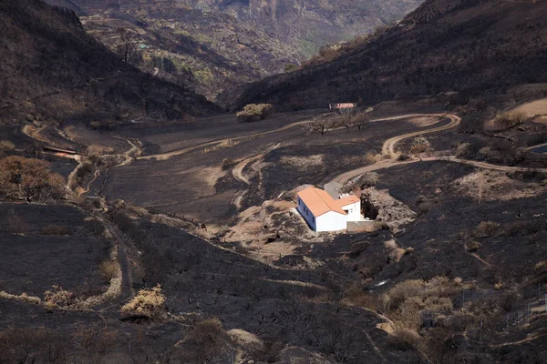 Gran Canaria après un incendie de forêt — Photo