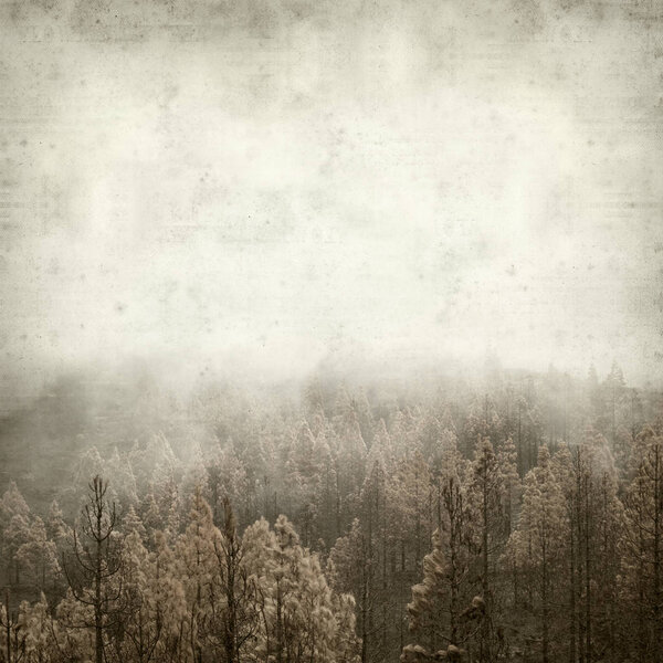 Textured old paper background with central Gran Canaria pine forests after fire 2017