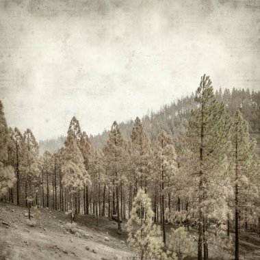 desenli eski kağıt arkaplan  