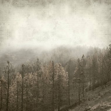 desenli eski kağıt arkaplan  