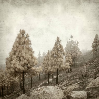 desenli eski kağıt arkaplan  