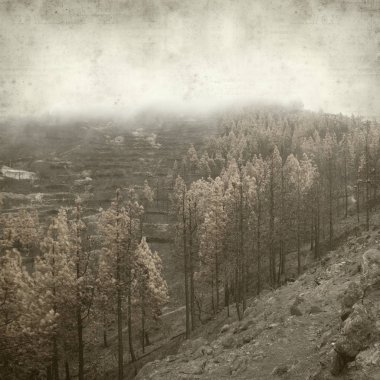 desenli eski kağıt arkaplan  