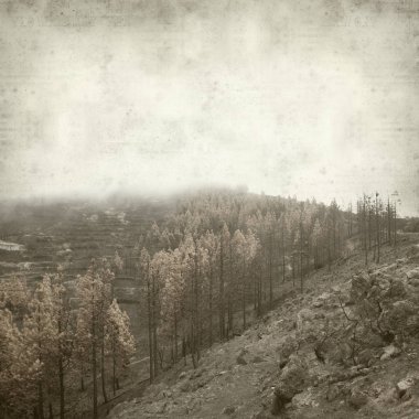 desenli eski kağıt arkaplan  