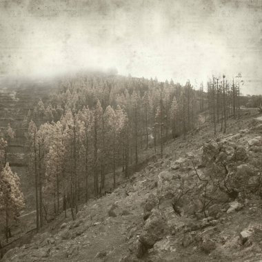 desenli eski kağıt arkaplan  