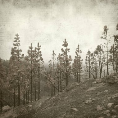 desenli eski kağıt arkaplan  