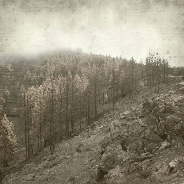 desenli eski kağıt arkaplan  