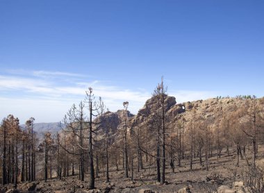 Gran Canaria  October 2017