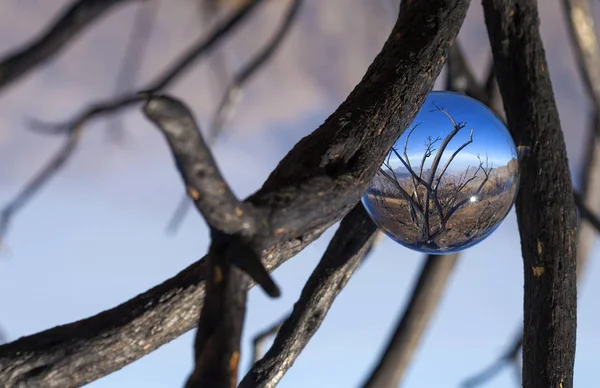 Kristal top fotoğraf - Caldera de Tejeda — Stok fotoğraf