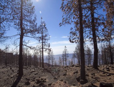 Gran Canaria  October 2017