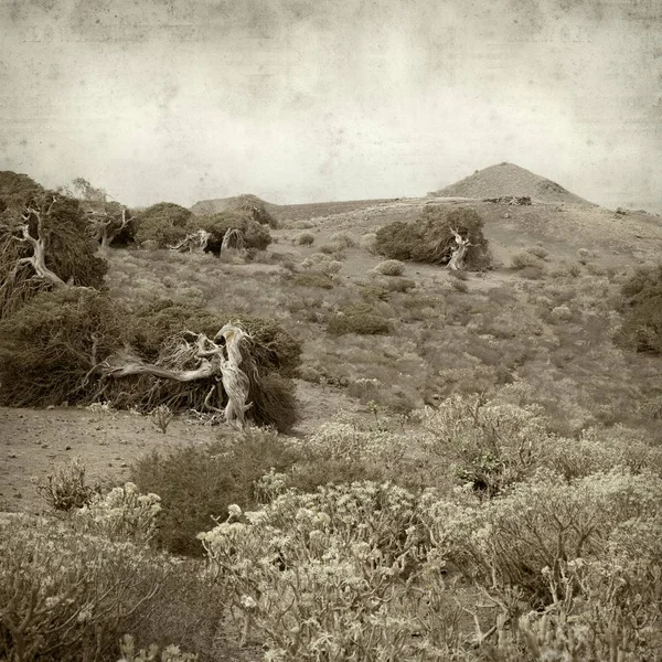 Vieux fond de papier texturé — Photo