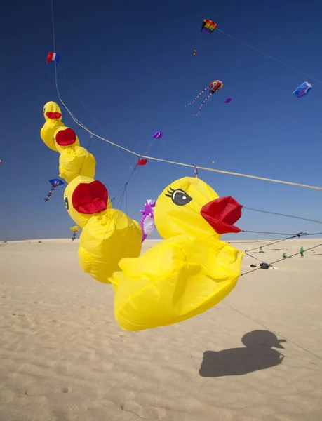 Drachenfest auf Fuerteventura — Stockfoto