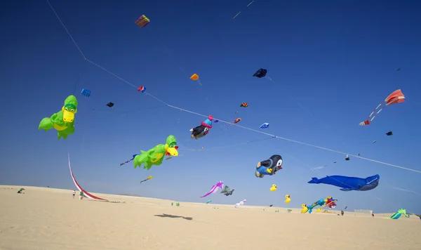 Drachenfest auf Fuerteventura — Stockfoto