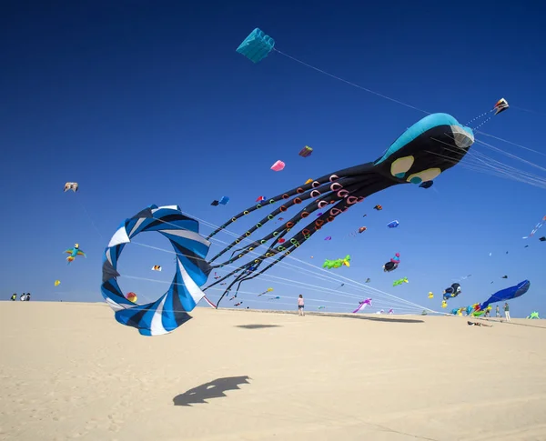 Drachenfest auf Fuerteventura — Stockfoto