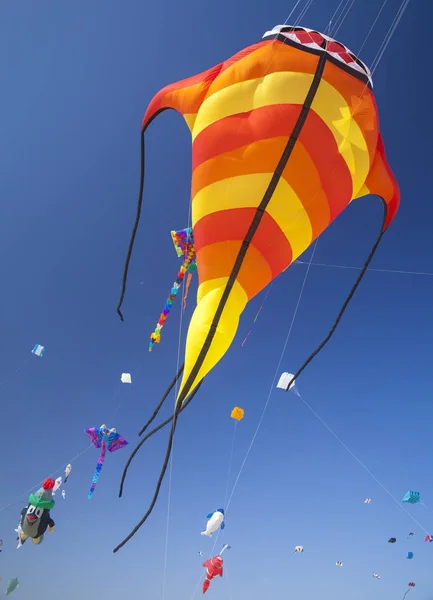 Fuerteventura Kite festival — Stock Photo, Image