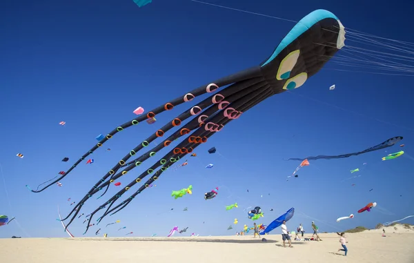 Drachenfest auf Fuerteventura — Stockfoto