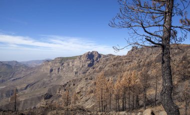 Gran Canaria  October 2017