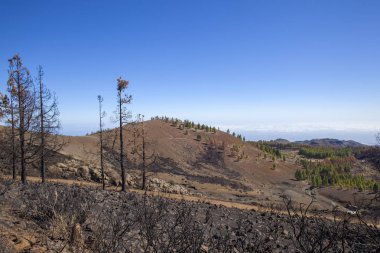 Gran Canaria  October 2017