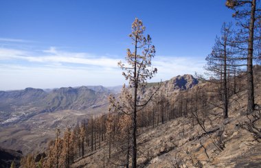 Gran Canaria  October 2017