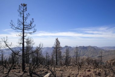 Gran Canaria  October 2017