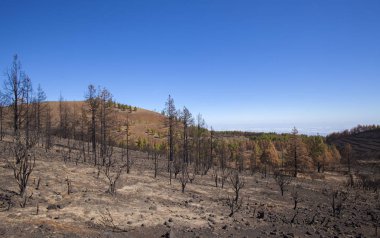 Gran Canaria  October 2017